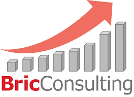 Partner Logo: BricConsulting